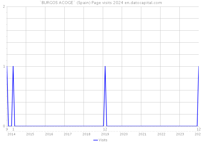 `BURGOS ACOGE` (Spain) Page visits 2024 