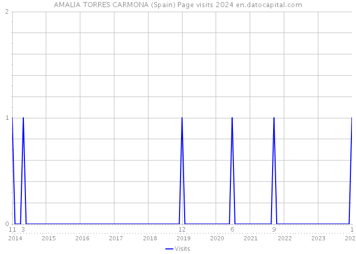 AMALIA TORRES CARMONA (Spain) Page visits 2024 