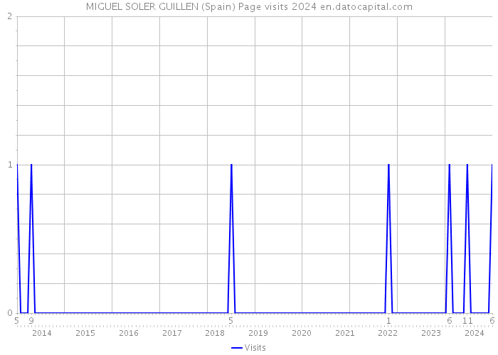MIGUEL SOLER GUILLEN (Spain) Page visits 2024 
