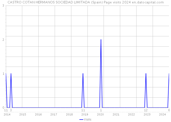 CASTRO COTAN HERMANOS SOCIEDAD LIMITADA (Spain) Page visits 2024 