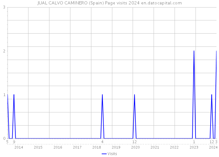 JUAL CALVO CAMINERO (Spain) Page visits 2024 