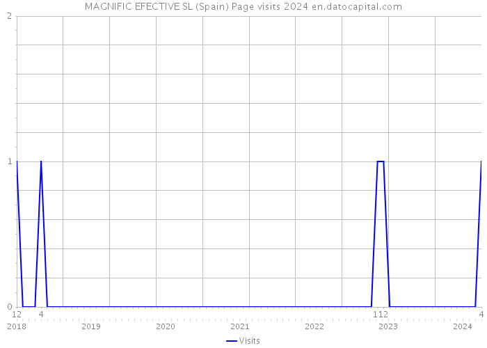 MAGNIFIC EFECTIVE SL (Spain) Page visits 2024 