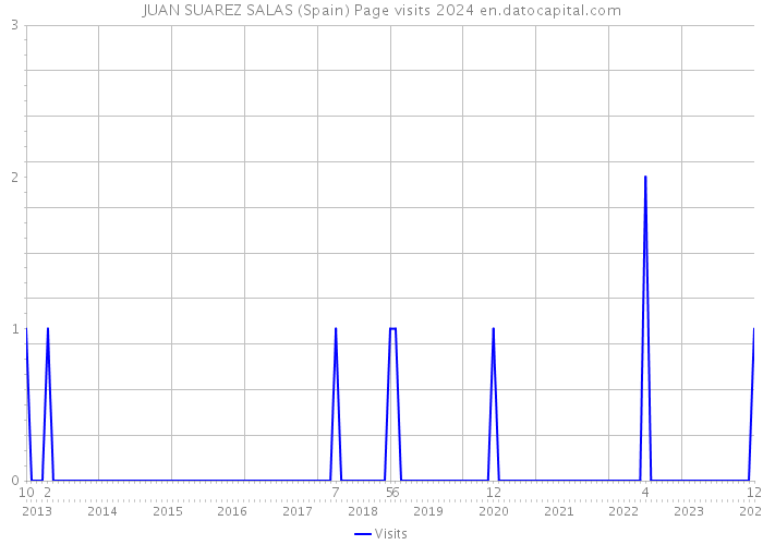 JUAN SUAREZ SALAS (Spain) Page visits 2024 