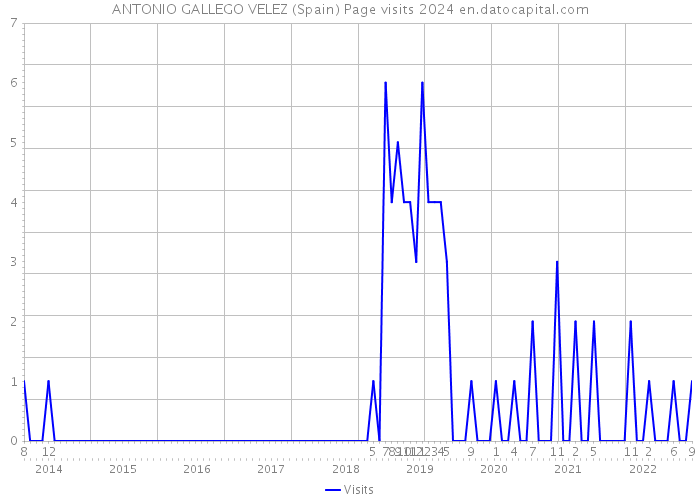 ANTONIO GALLEGO VELEZ (Spain) Page visits 2024 