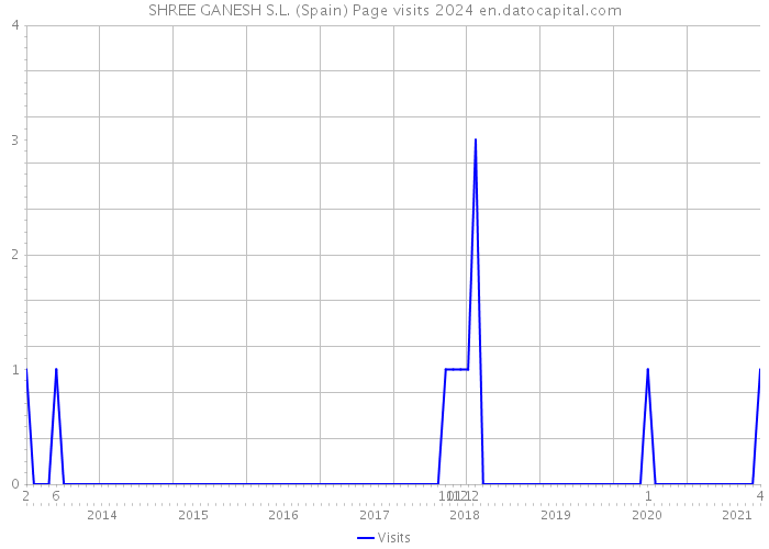 SHREE GANESH S.L. (Spain) Page visits 2024 