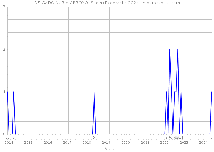 DELGADO NURIA ARROYO (Spain) Page visits 2024 