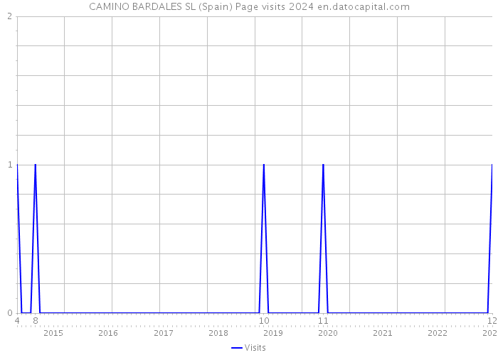 CAMINO BARDALES SL (Spain) Page visits 2024 