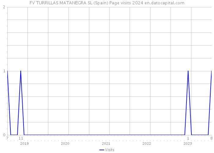 FV TURRILLAS MATANEGRA SL (Spain) Page visits 2024 