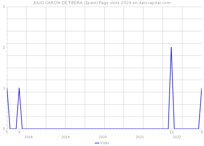 JULIO GARCIA DE TIEDRA (Spain) Page visits 2024 