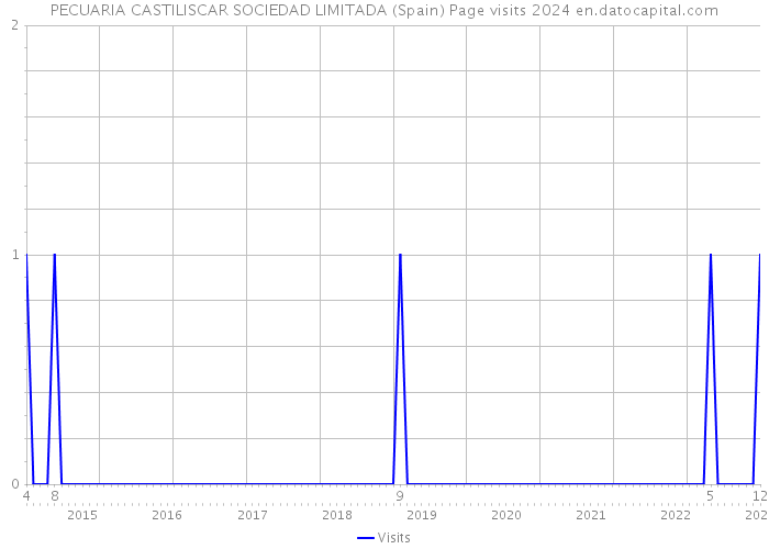 PECUARIA CASTILISCAR SOCIEDAD LIMITADA (Spain) Page visits 2024 