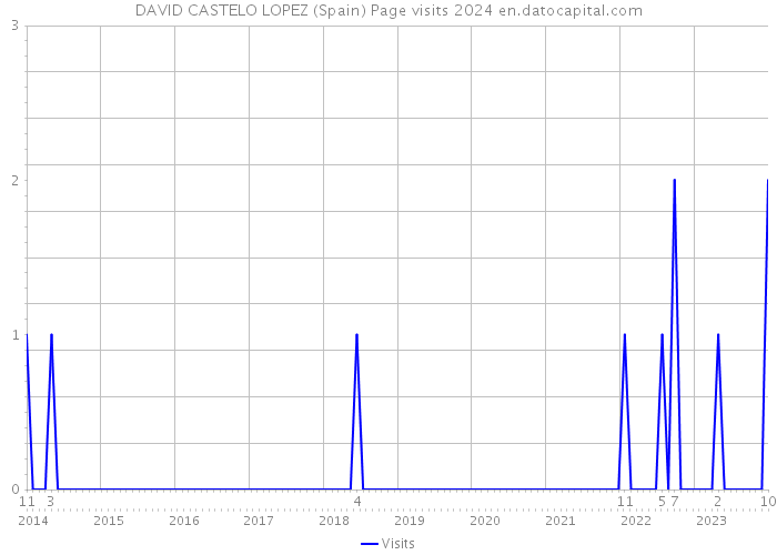 DAVID CASTELO LOPEZ (Spain) Page visits 2024 