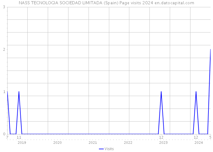 NASS TECNOLOGIA SOCIEDAD LIMITADA (Spain) Page visits 2024 