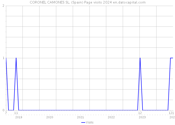 CORONEL CAMONES SL. (Spain) Page visits 2024 