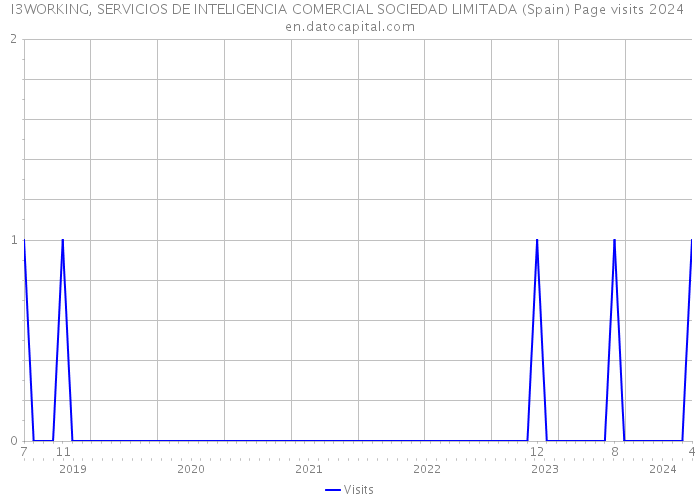 I3WORKING, SERVICIOS DE INTELIGENCIA COMERCIAL SOCIEDAD LIMITADA (Spain) Page visits 2024 