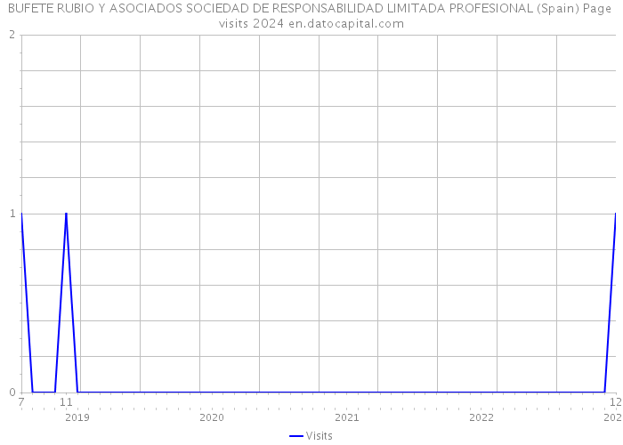 BUFETE RUBIO Y ASOCIADOS SOCIEDAD DE RESPONSABILIDAD LIMITADA PROFESIONAL (Spain) Page visits 2024 