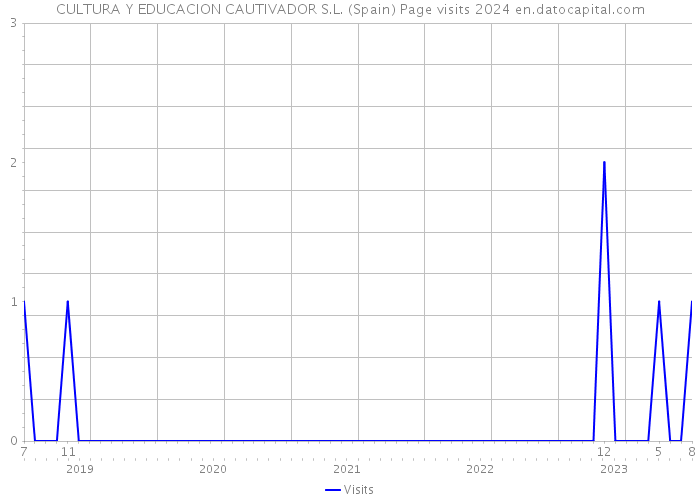 CULTURA Y EDUCACION CAUTIVADOR S.L. (Spain) Page visits 2024 