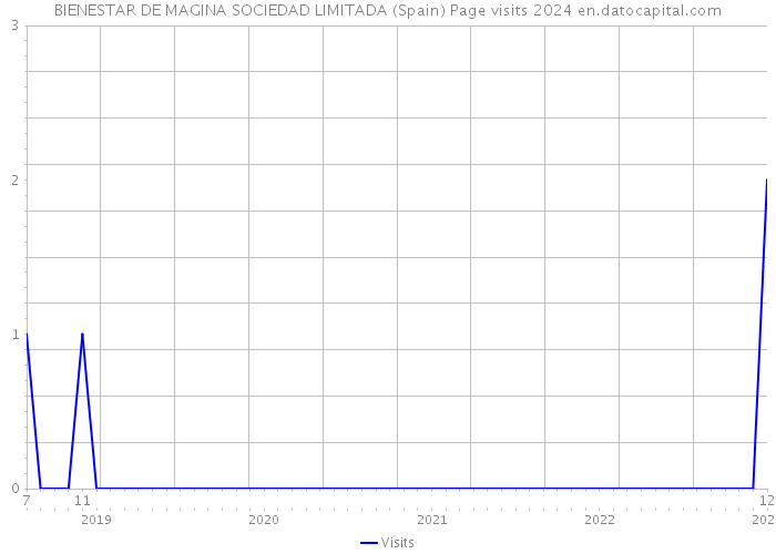 BIENESTAR DE MAGINA SOCIEDAD LIMITADA (Spain) Page visits 2024 