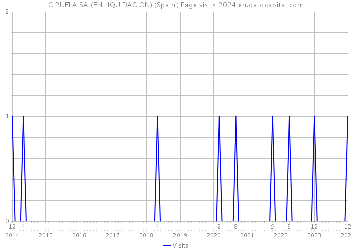 CIRUELA SA (EN LIQUIDACION) (Spain) Page visits 2024 