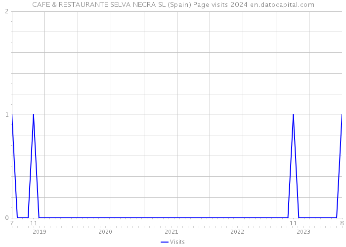 CAFE & RESTAURANTE SELVA NEGRA SL (Spain) Page visits 2024 