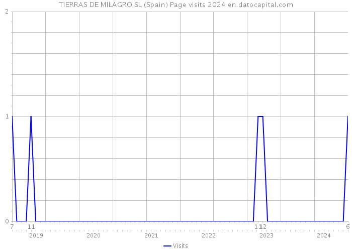 TIERRAS DE MILAGRO SL (Spain) Page visits 2024 