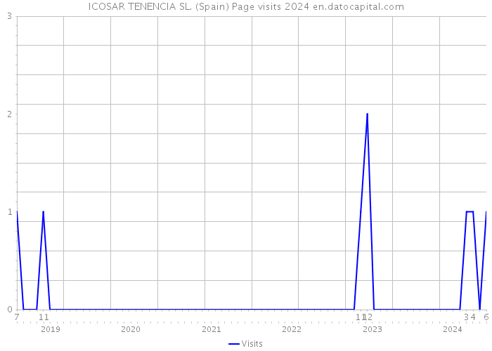 ICOSAR TENENCIA SL. (Spain) Page visits 2024 