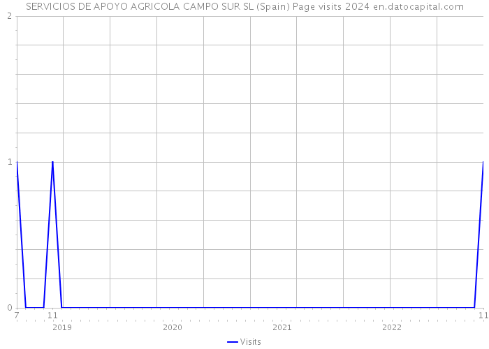 SERVICIOS DE APOYO AGRICOLA CAMPO SUR SL (Spain) Page visits 2024 