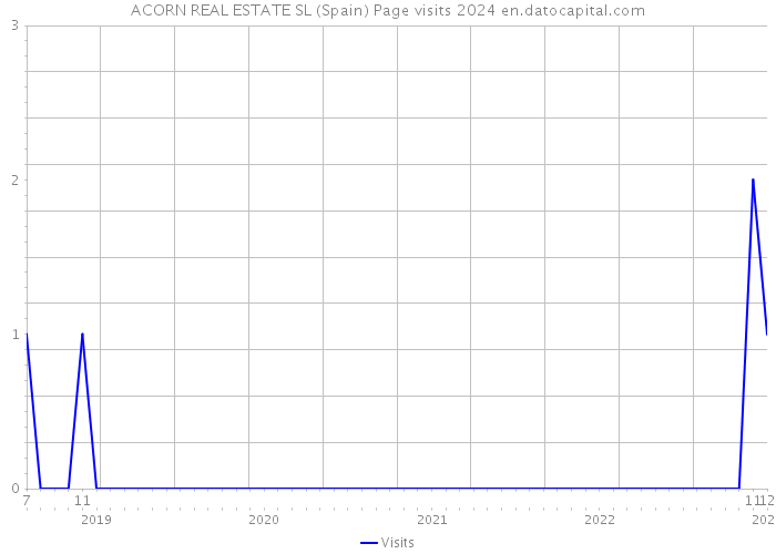 ACORN REAL ESTATE SL (Spain) Page visits 2024 