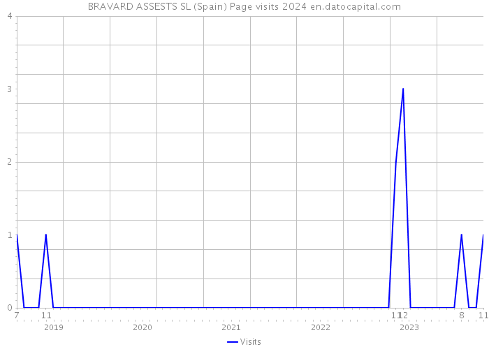 BRAVARD ASSESTS SL (Spain) Page visits 2024 