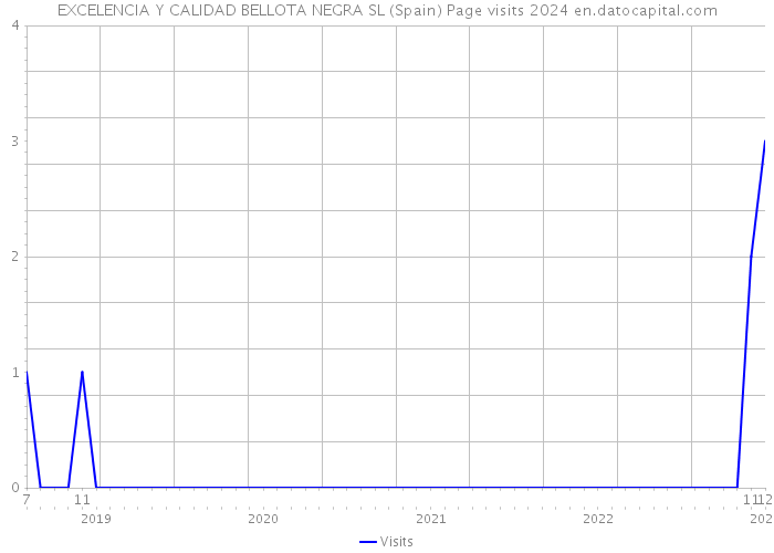 EXCELENCIA Y CALIDAD BELLOTA NEGRA SL (Spain) Page visits 2024 