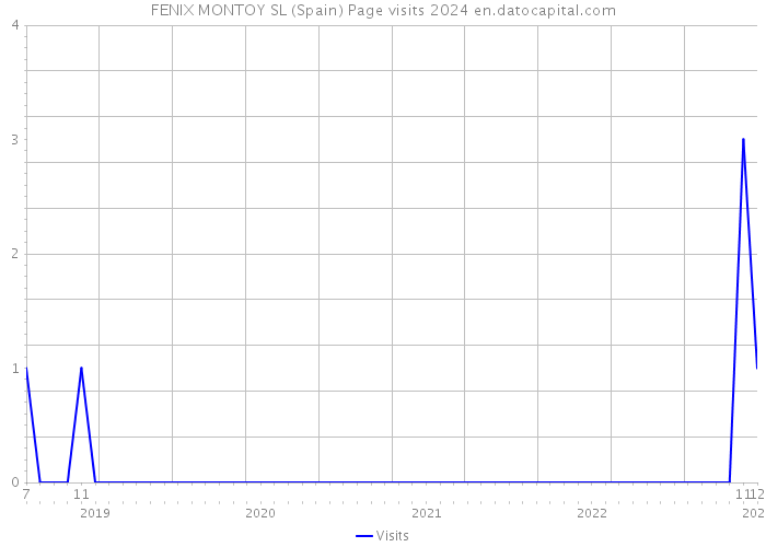 FENIX MONTOY SL (Spain) Page visits 2024 