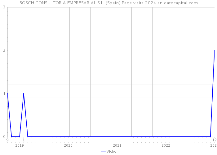 BOSCH CONSULTORIA EMPRESARIAL S.L. (Spain) Page visits 2024 