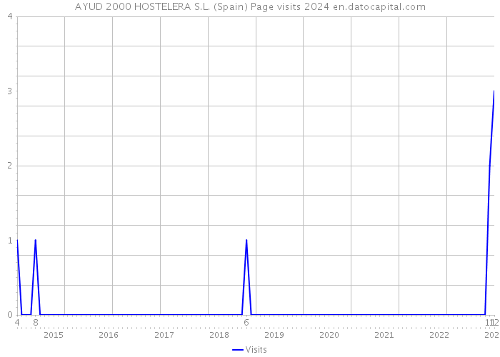 AYUD 2000 HOSTELERA S.L. (Spain) Page visits 2024 