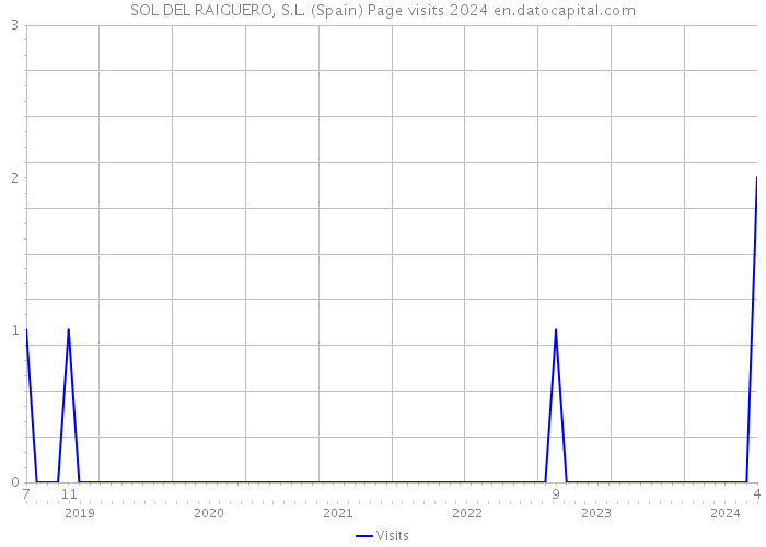 SOL DEL RAIGUERO, S.L. (Spain) Page visits 2024 