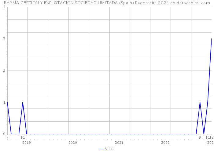 RAYMA GESTION Y EXPLOTACION SOCIEDAD LIMITADA (Spain) Page visits 2024 