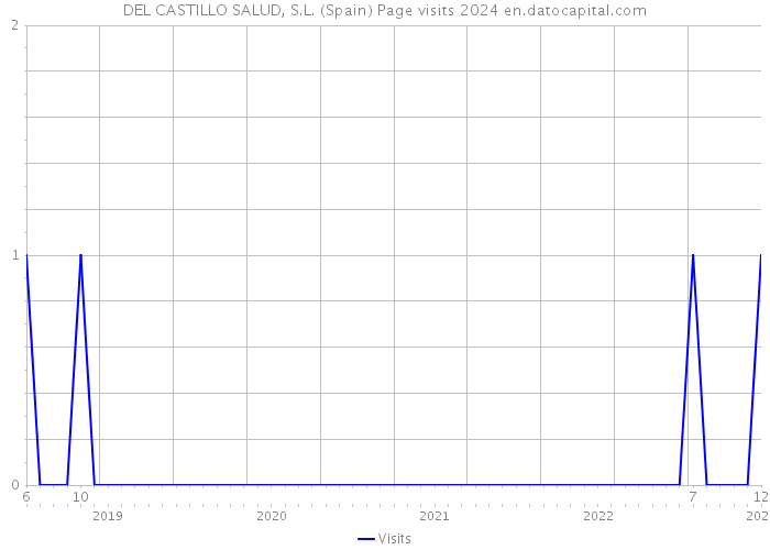 DEL CASTILLO SALUD, S.L. (Spain) Page visits 2024 