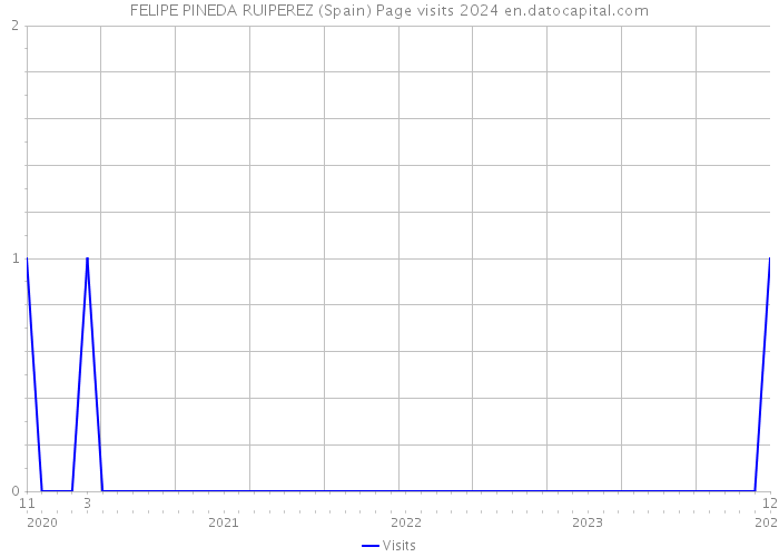 FELIPE PINEDA RUIPEREZ (Spain) Page visits 2024 