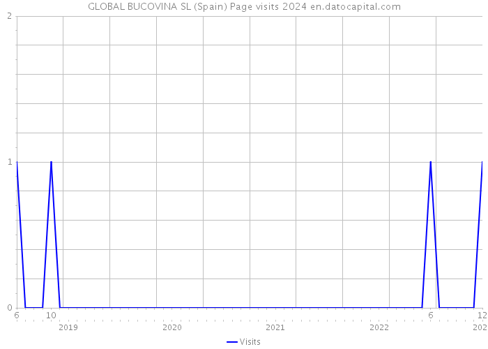 GLOBAL BUCOVINA SL (Spain) Page visits 2024 