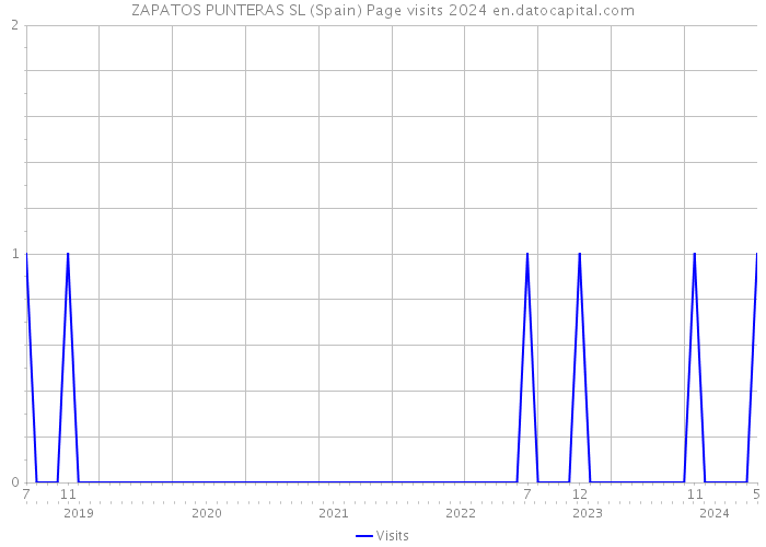 ZAPATOS PUNTERAS SL (Spain) Page visits 2024 