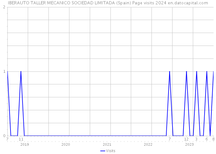 IBERAUTO TALLER MECANICO SOCIEDAD LIMITADA (Spain) Page visits 2024 