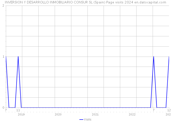 INVERSION Y DESARROLLO INMOBILIARIO CONSUR SL (Spain) Page visits 2024 