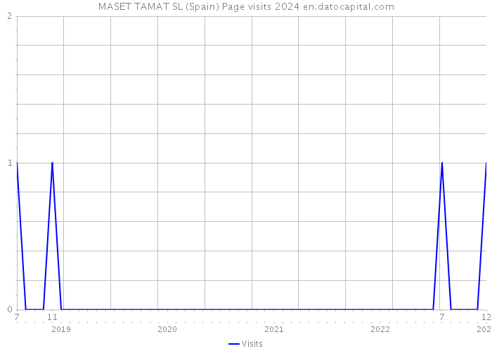 MASET TAMAT SL (Spain) Page visits 2024 