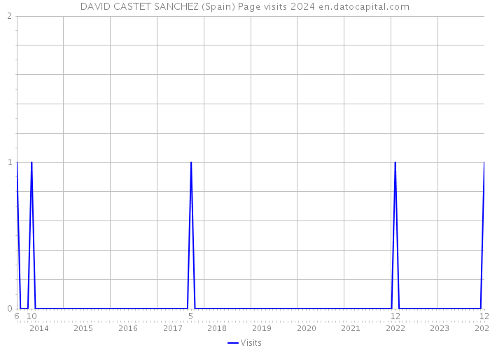 DAVID CASTET SANCHEZ (Spain) Page visits 2024 