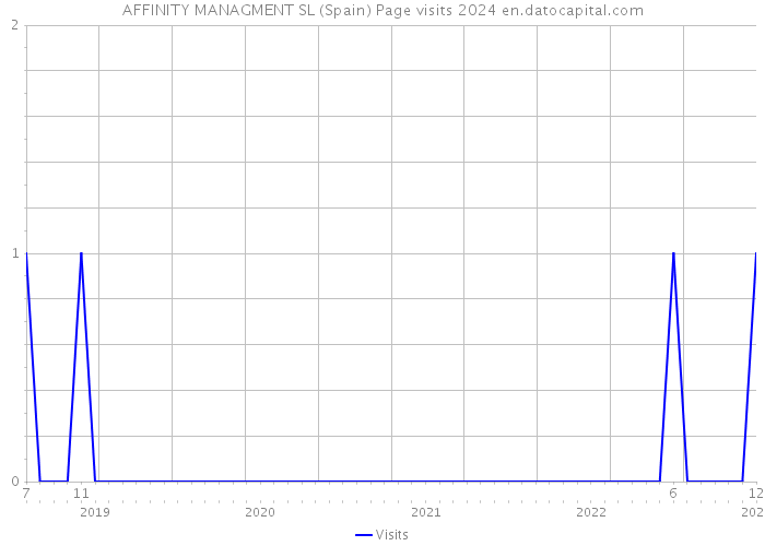 AFFINITY MANAGMENT SL (Spain) Page visits 2024 
