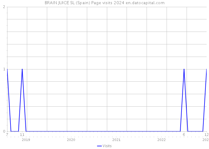 BRAIN JUICE SL (Spain) Page visits 2024 