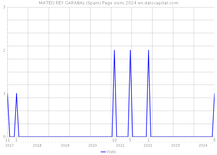 MATEO REY GARABAL (Spain) Page visits 2024 