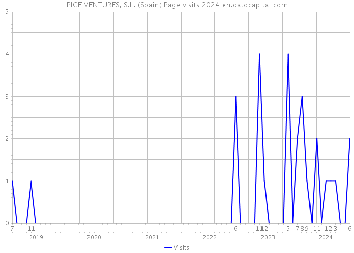 PICE VENTURES, S.L. (Spain) Page visits 2024 