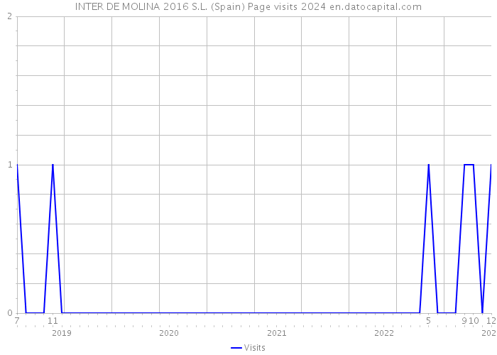 INTER DE MOLINA 2016 S.L. (Spain) Page visits 2024 