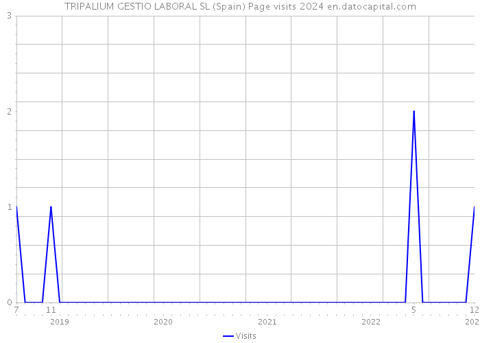 TRIPALIUM GESTIO LABORAL SL (Spain) Page visits 2024 