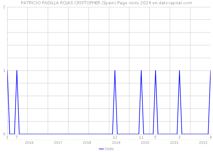 PATRICIO PADILLA ROJAS CRISTOPHER (Spain) Page visits 2024 