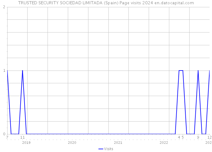 TRUSTED SECURITY SOCIEDAD LIMITADA (Spain) Page visits 2024 
